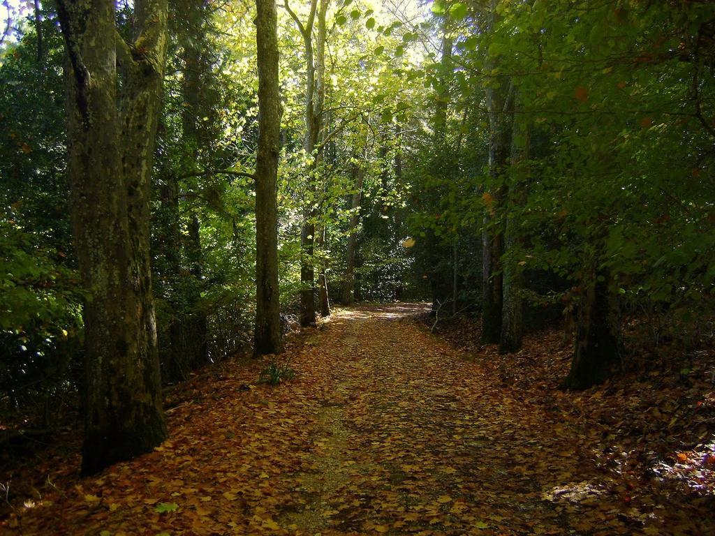 Вилла Cortijo La Julia Орсера Экстерьер фото
